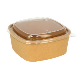 Plastic Lid rPET Crystal 17x17cm (300 Units)