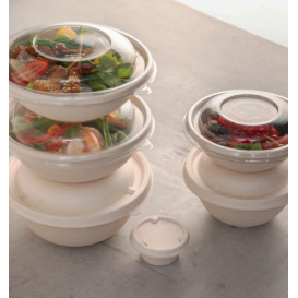 Plastic Dome Lid rPET Crystal Ø17x3cm (300 Units)  