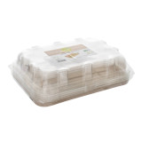 Sugar Cane Tray with Lid 35x24x11cm (5 Units) 