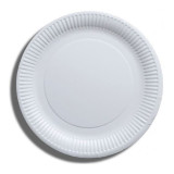 Paper Plate Biodegradable White 23 cm (100 Units)  