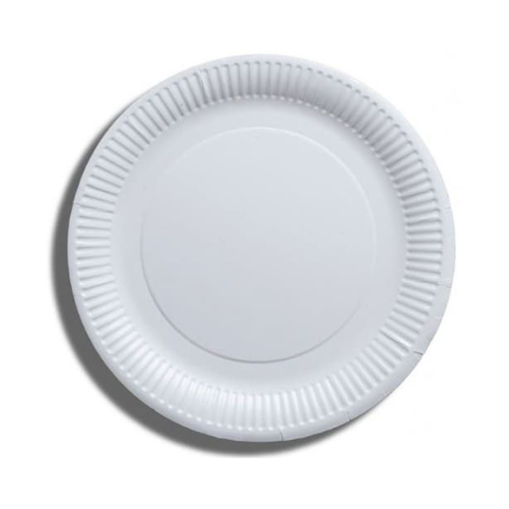 Paper Plate Biodegradable White 23 cm (100 Units)  