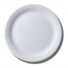 Paper Plate Biocoated White 23cm (800 Units)