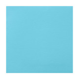 Paper Napkin Turquoise 25x2cm (50 Units) 