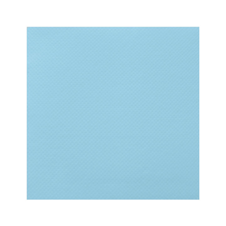 Paper Napkin Double Point Light Blue 2C 33x33cm (1350 Units)