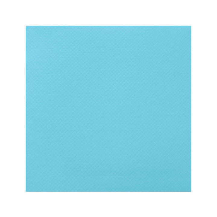Paper Napkin Double Point Turquoise 2C 33x33cm (50 Units) 