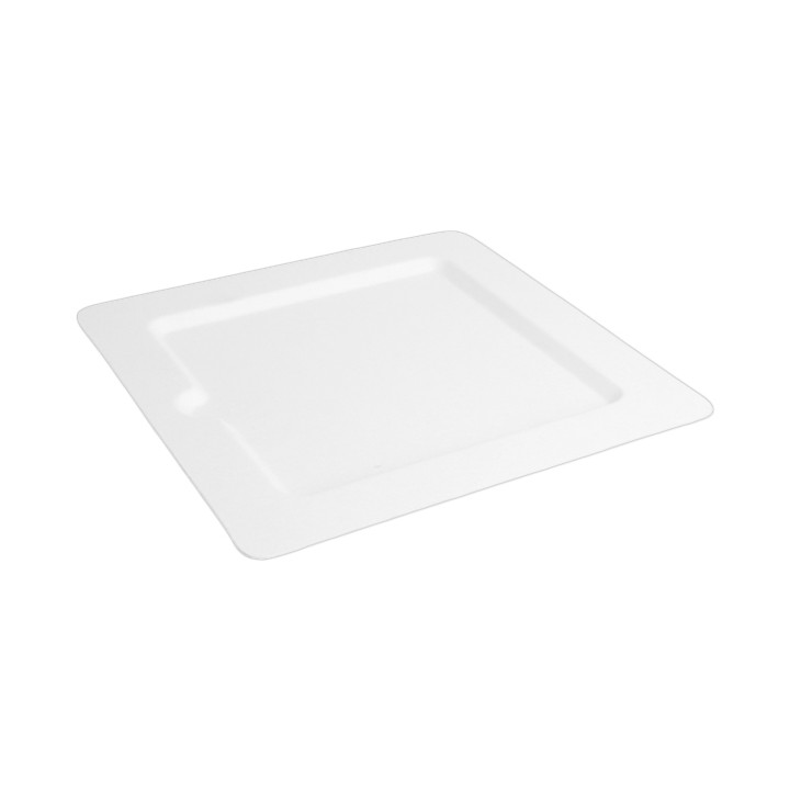 Sugarcane Plate Notched White 20x20 cm (50 Units) 