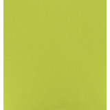 Paper Tablecloth Roll Pistachio 1x100m. 40g (1 Unit) 