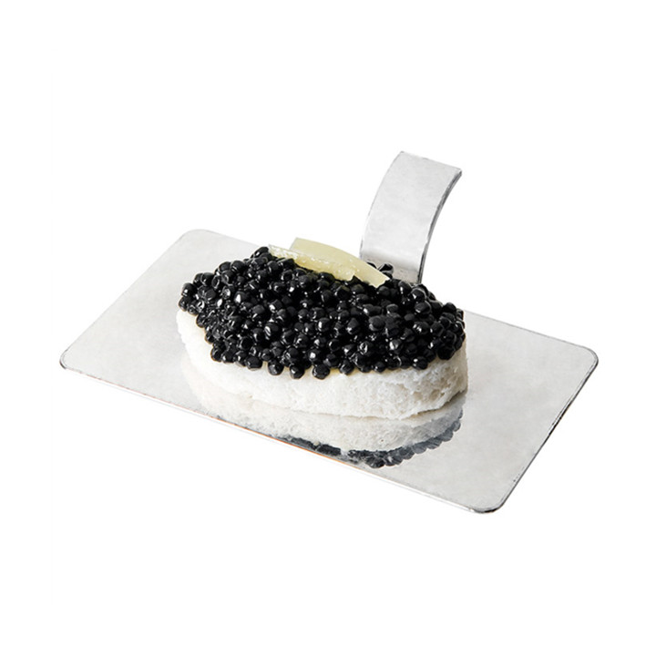 Plastic Tasting Plate PS with Handle Rectangular Shape Silver 10x5,5cm (1296 Units)