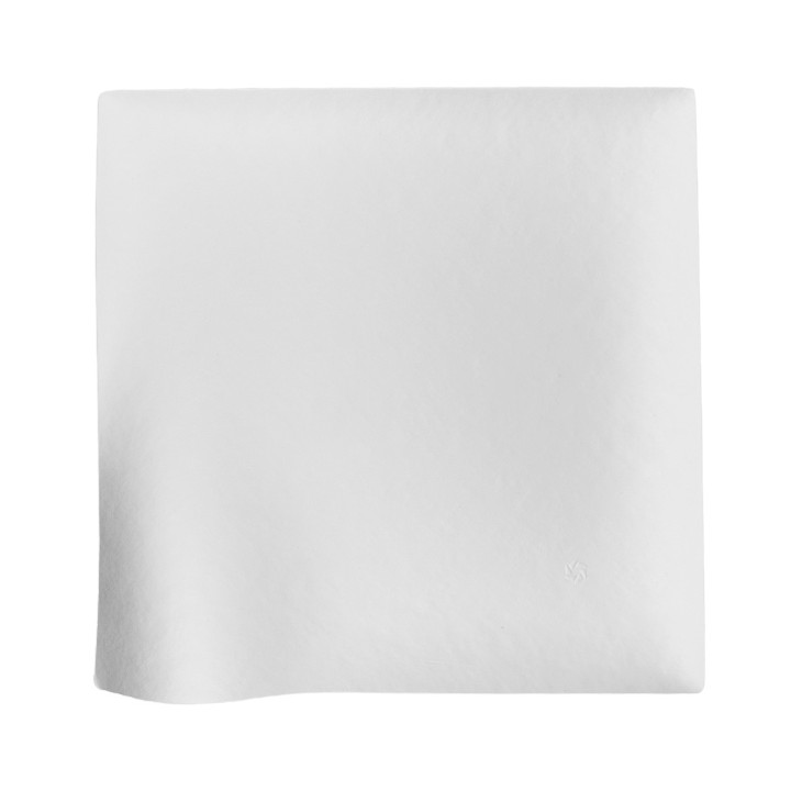 Sugarcane Plate Wasara Biodegradable "Kaku" L 20,4x20,4x3,6 cm (100 Units)