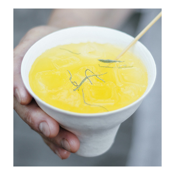 Sugarcane Cup "Wine Cup" Wasara Biodegradable 260 ml (200 Units)