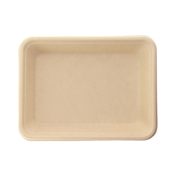 Sugarcane Tray Natural 19,6x14,7x2,7cm (1000 Units)