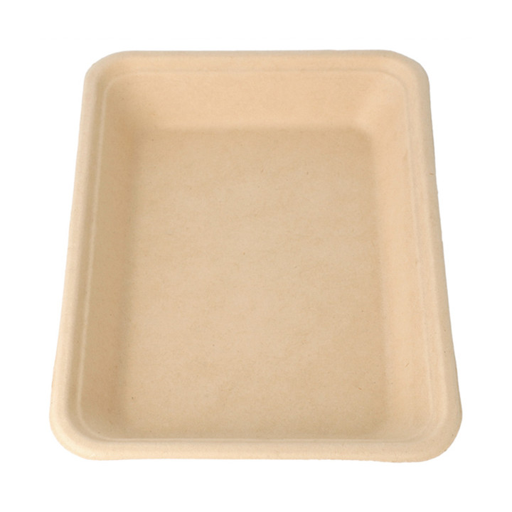 Sugarcane Tray Natural 19,6x14,7x2,7cm (1000 Units)
