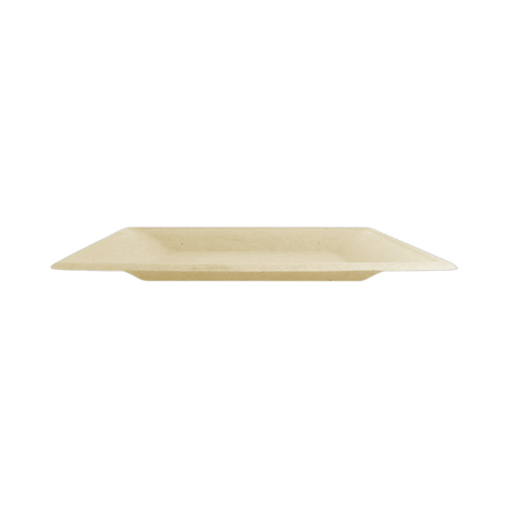 Sugarcane Plate Square shape Natural 26,2x26,2 cm (50 Units) 