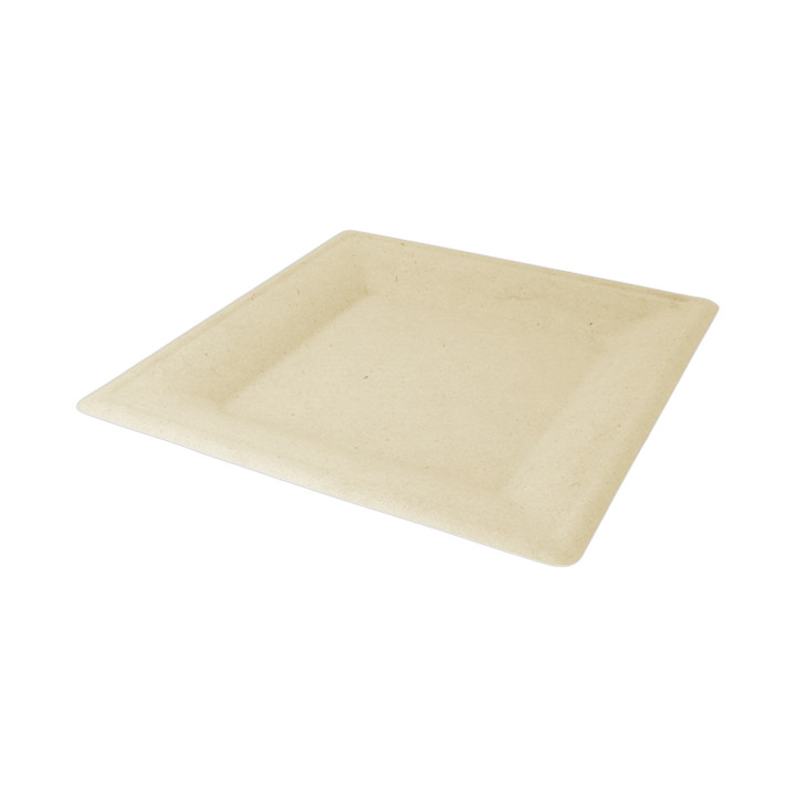 Sugarcane Plate Square shape Natural 20x20 cm (500 Units)