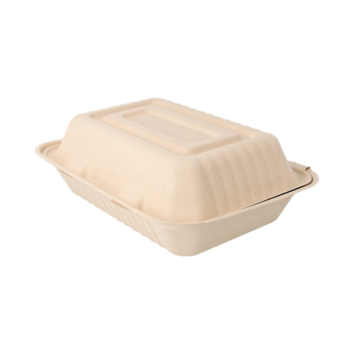 Sugarcane Hinged Container "Menu Box" Natural 22,5x16,5x6,4cm (50 Units) 