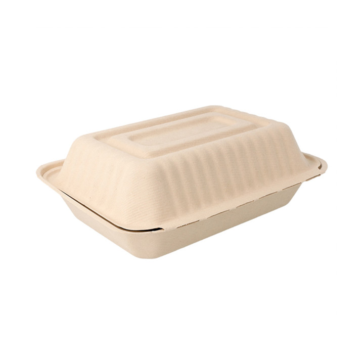 Sugarcane Hinged Container "Menu Box" Natural 22,5x16,5x6,4cm (50 Units) 