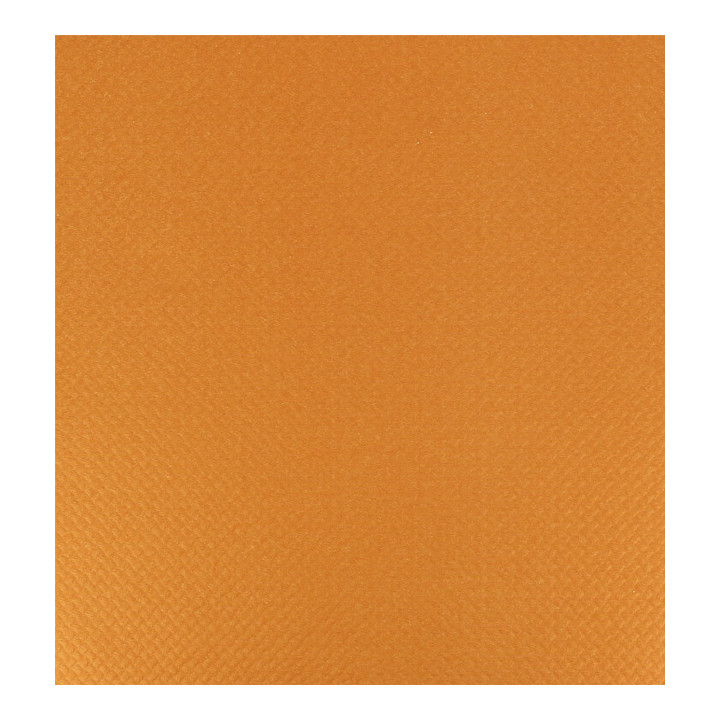 Paper Tablecloth Roll Orange 1x100m. 40g (6 Units)