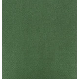 Paper Tablecloth Roll Green 1x100m. 40g (1 Unit) 