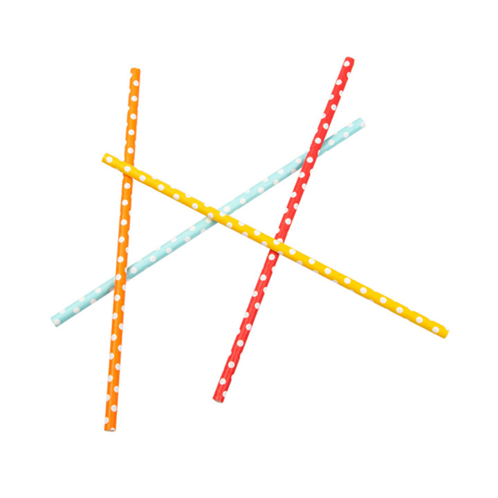 Paper Straw Straight Points Ø6mm 21cm (250 Units) 