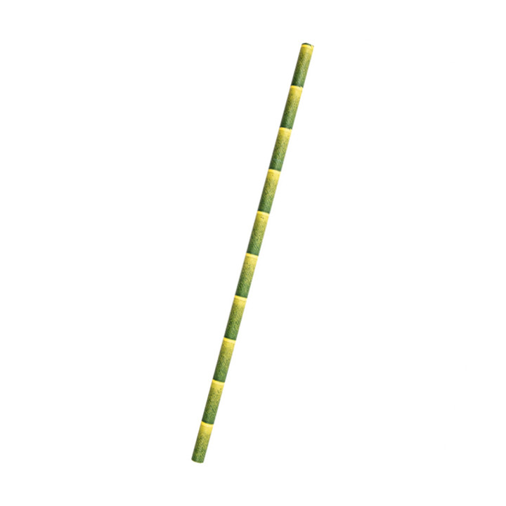 Paper Straw Straight bamboo Ø6mm 21cm (250 Units) 