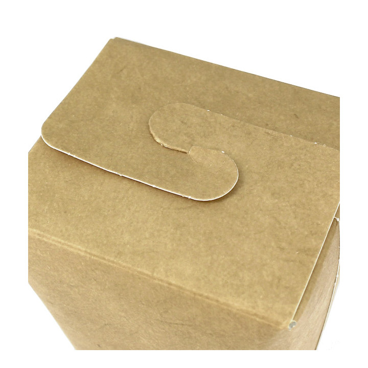 Paper Take-Out Container 100% ECO Kraft 16Oz/480ml (500 Units)