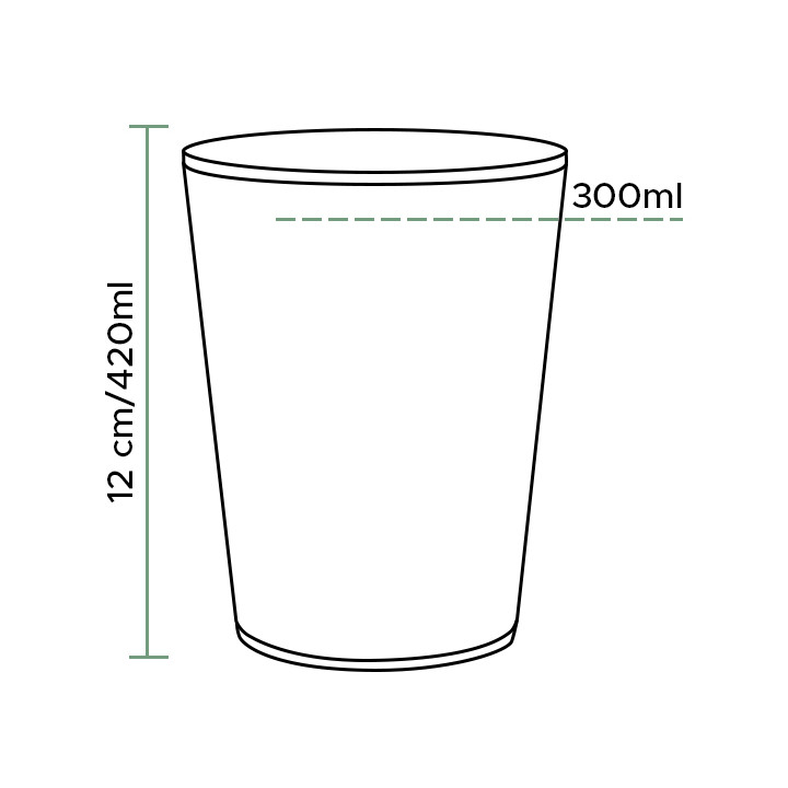 Plastic Pint Glass PS Reusable 420ml (5 Units) 