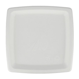 Sugarcane Plate Square shape White 17 cm (125 Units)  