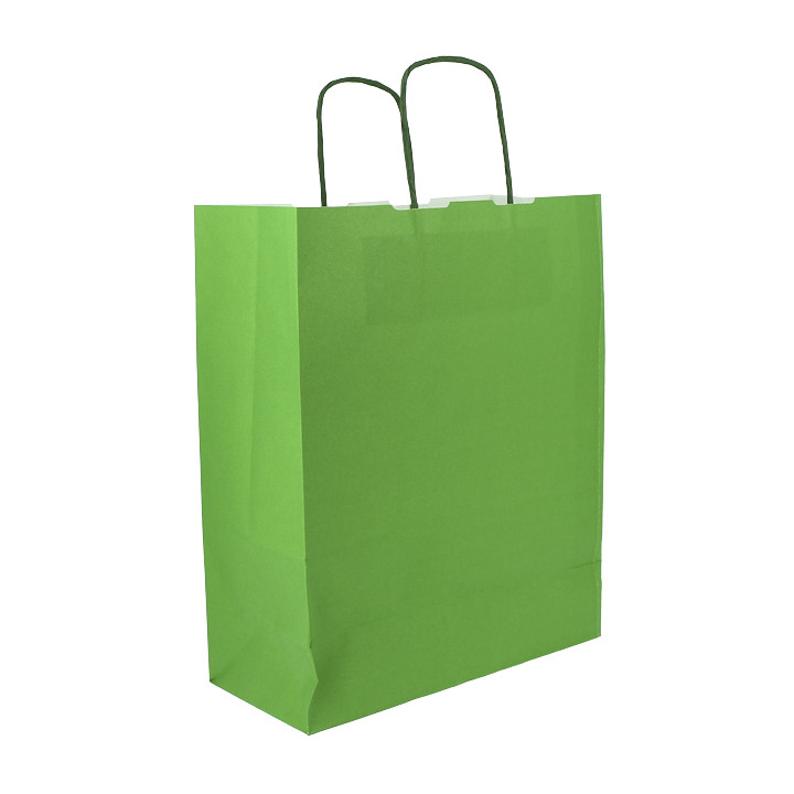 Paper Bag with Handles Green 100g/m² 25+11x31cm (200 Units)