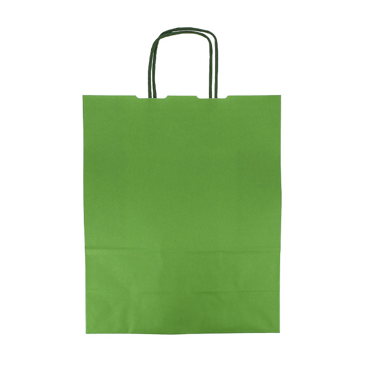 Paper Bag with Handles Green 100g/m² 25+11x31cm (200 Units)