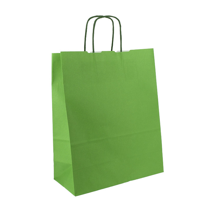 Paper Bag with Handles Green 100g/m² 25+11x31cm (200 Units)