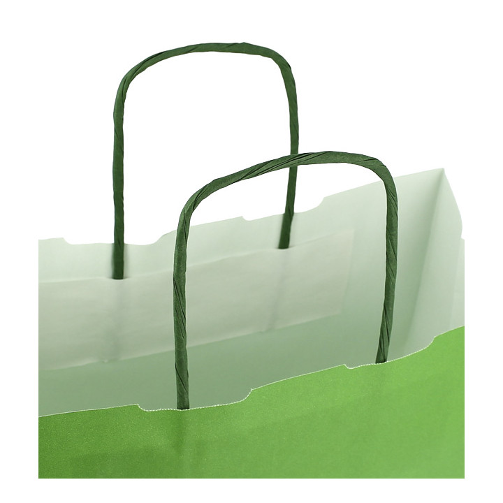Paper Bag with Handles Green 100g/m² 25+11x31cm (25 Units) 