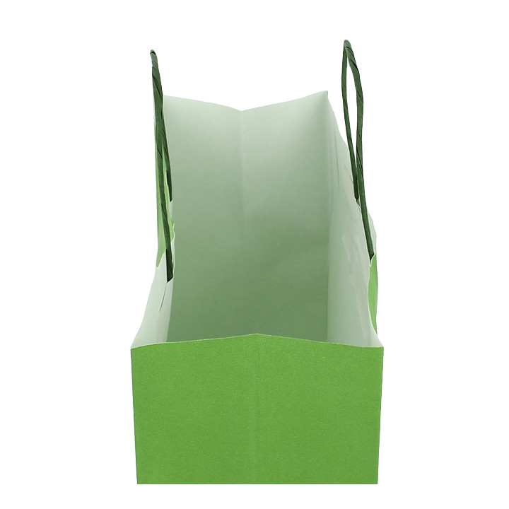 Paper Bag with Handles Green 100g/m² 25+11x31cm (25 Units) 