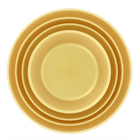 Reusable Plate Durable PP Mineral Gold Ø21cm (54 Units)