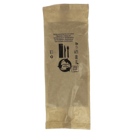 Cutlery Set Reusable PS 2 Pieces + Napkin (250 Units)