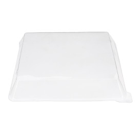 Plastic Lid PET 27x20cm (10 Units)