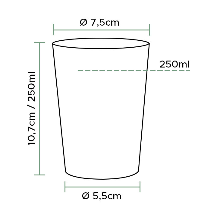 Plastic Cup PS Clear 250 ml (50 Units)