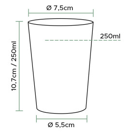 Plastic Cup PS Clear 250 ml (1000 Units)