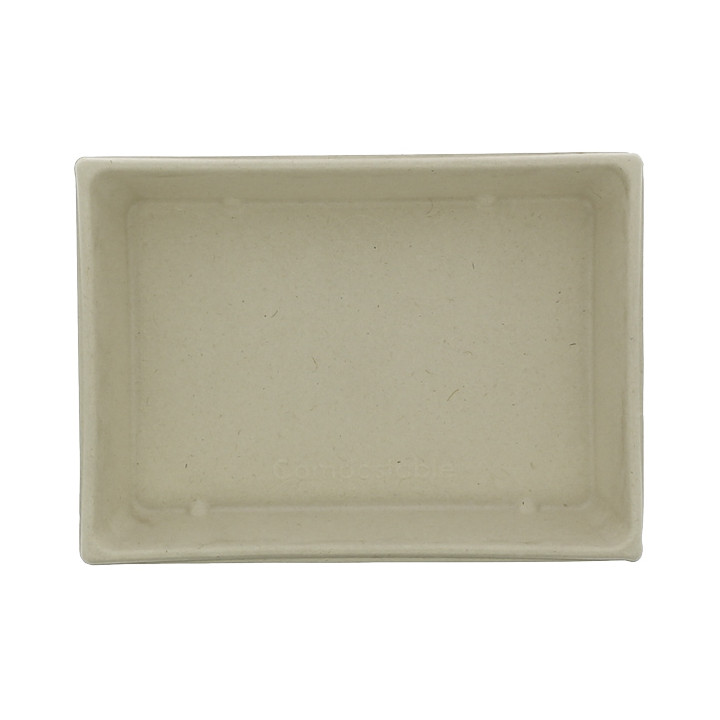 Sugarcane Tray with Lid 750ml 22x16x6cm (15 Units) 