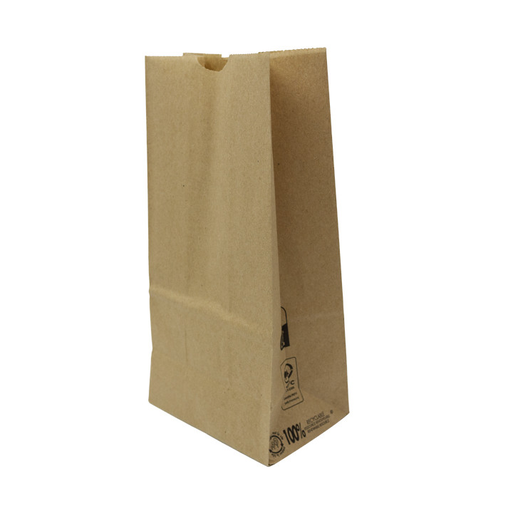 Paper Bag without Handle Kraft Brown 45g/m² 12+8x24cm (1.000 Units)