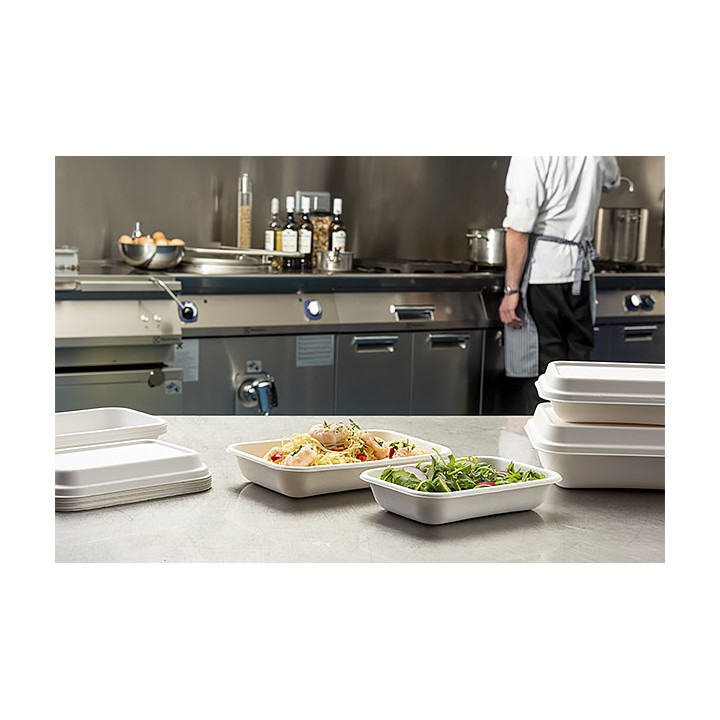 Sugarcane Tray Ecologic White 470ml 18,0x12,0x4,0cm (50 Units) 