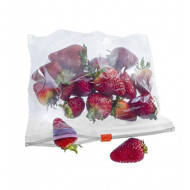 Plastic Bag Slider Zipper G250 18x17cm (100 Units)  