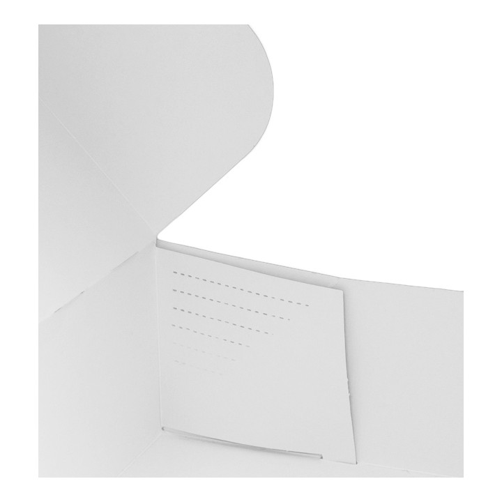 Kraft Carton Box with flip-top front 26x26+10cm (100 Units)