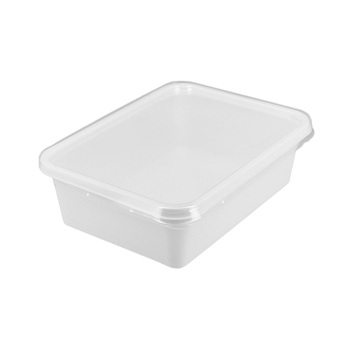 Plastic Container with Lid 15,7x11,2x5,1cm 500ml (600 Units)