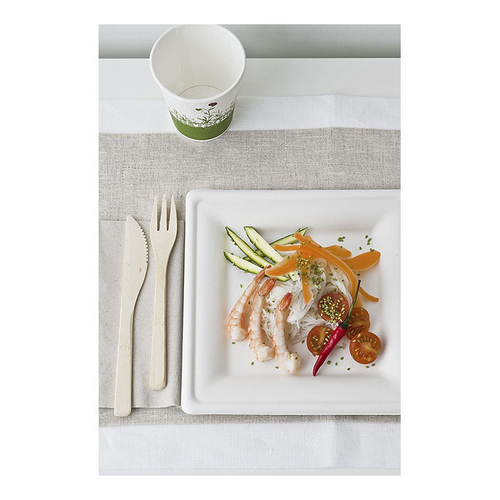 Sugarcane Plate Square shape White 15x15 cm (50 Units) 