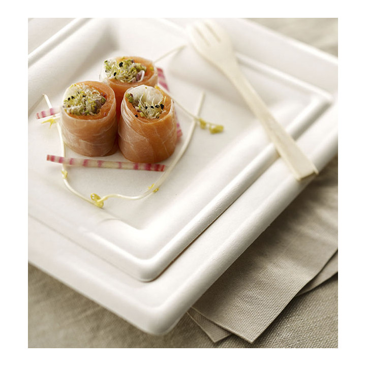 Sugarcane Plate Square shape White 20x20 cm (1000 Units)