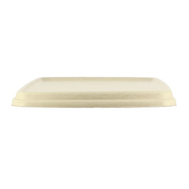 Sugarcane Lid for Container 23x23cm (75 Units)  