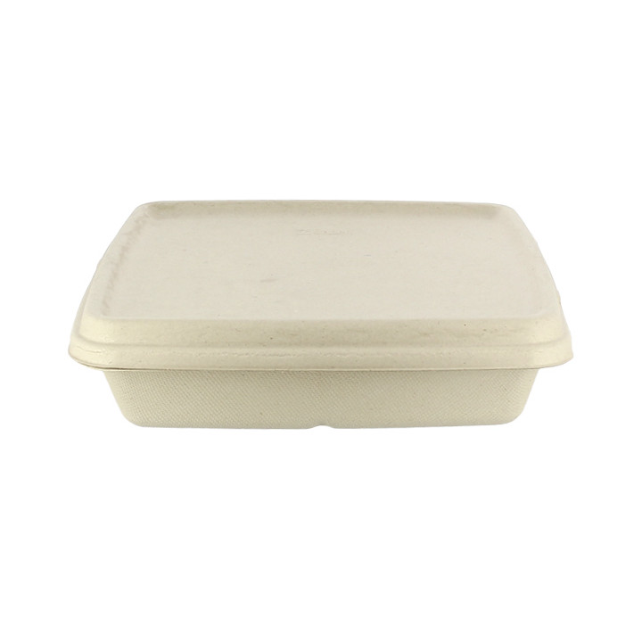 Sugarcane Lid for Container 23x23cm (75 Units)  