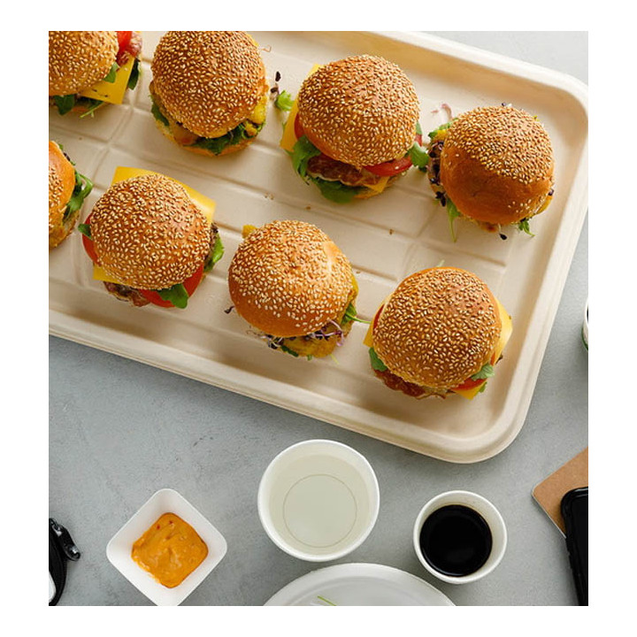 Sugarcane Tray 46x30cm (100 Units)