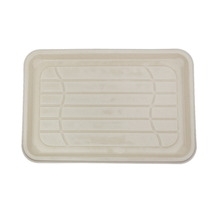 Sugarcane Tray 46x30cm (100 Units)
