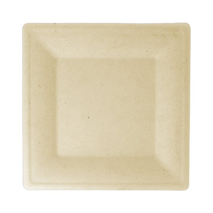 Sugarcane Plate Square shape Natural 20x20 cm (500 Units)